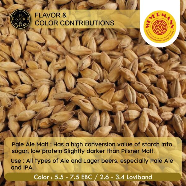 Pale Ale Malt 01