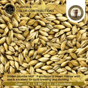 Golden Promise Malt 01