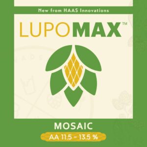 Lm Mosaic 01