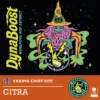 Dy Citra 01 11zon